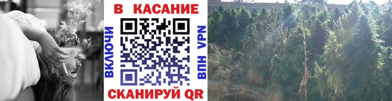 Купить наркоту Новый Уренгой Cocaine Альфа ПВП Конопля МЕФ