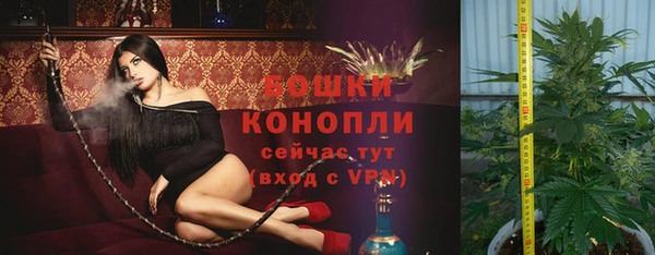трава Карпинск