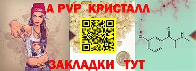 стаф Камышлов