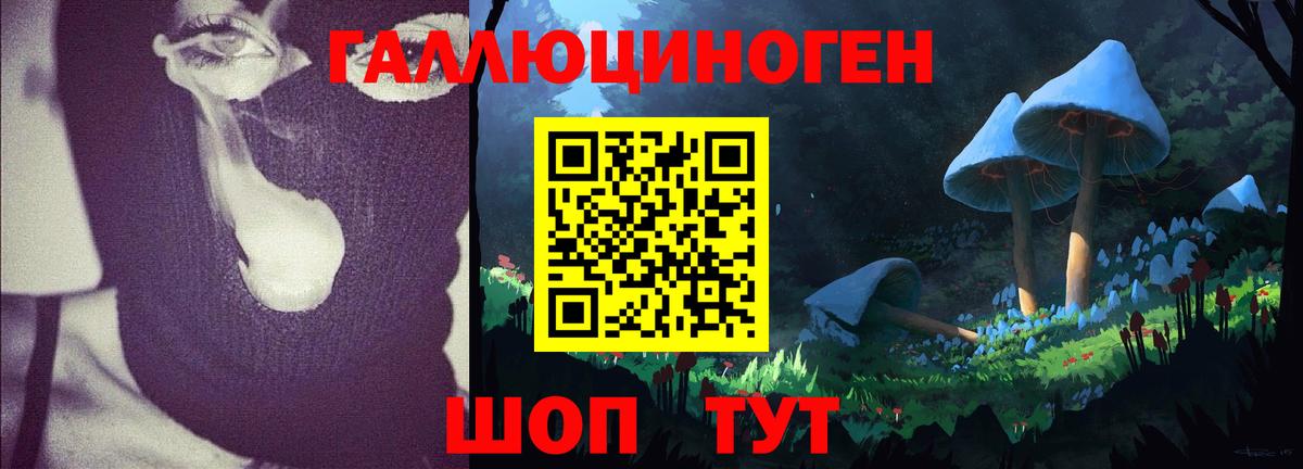 Новый Уренгой  Псилоцибиновые грибы MAGIC MUSHROOMS  цена наркотик  Вход с VPN 